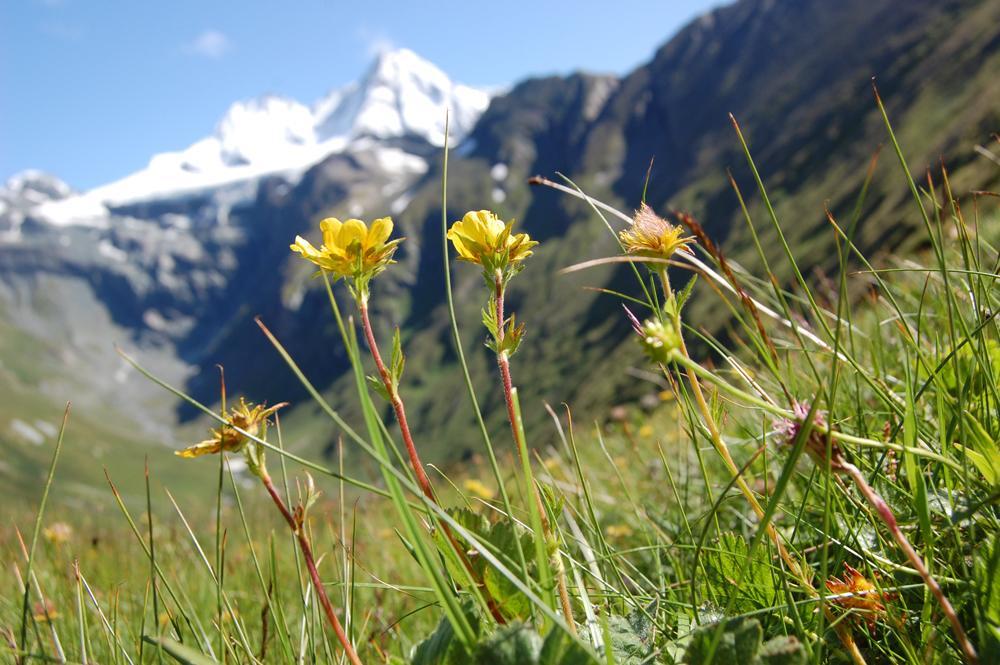 Ferienhaus Islitzer Hollersbach im Pinzgau Exteriér fotografie